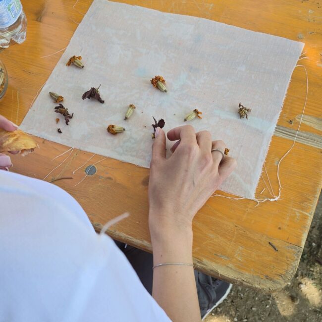 marche tour lab