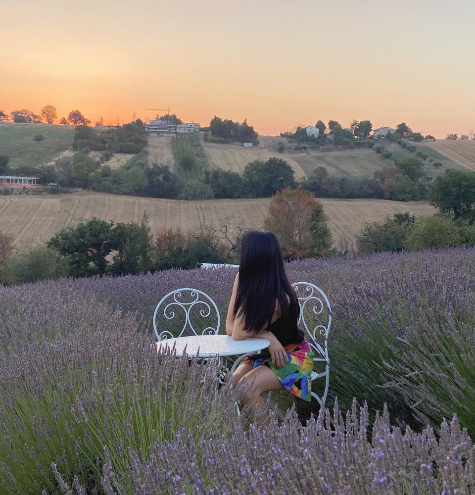 about us le marche