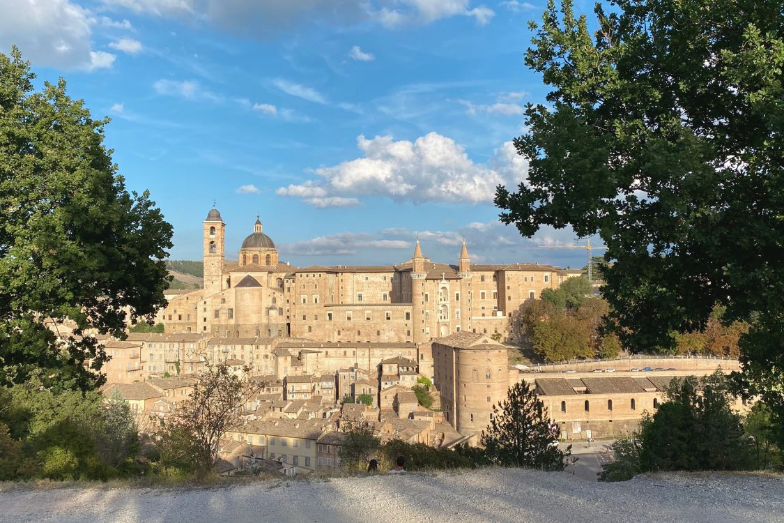 marche tour urbino