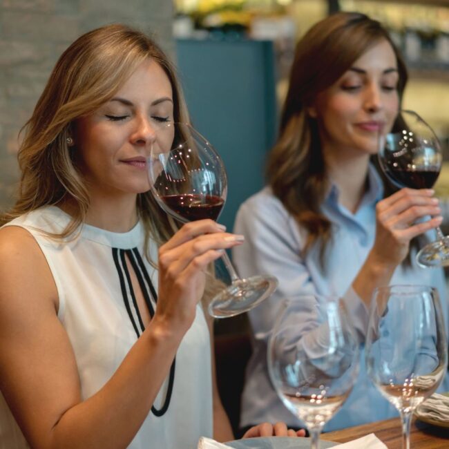 marche tour wine tasting